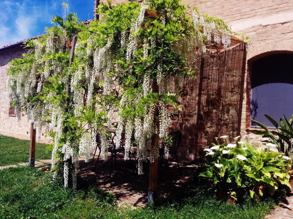 La Fornace Di San Galgano Villa Frosini Dış mekan fotoğraf